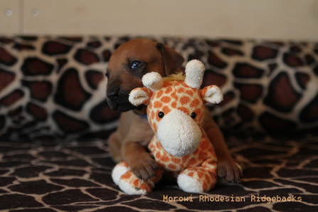 Die dritte Lebenswoche!