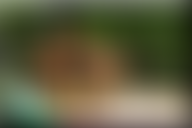 Happy birthday Morowi Imara Gang!