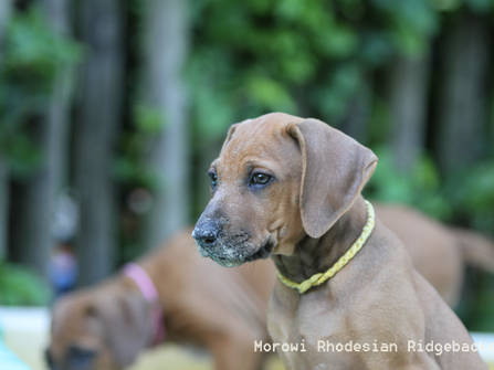 Die achte Lebenswoche!