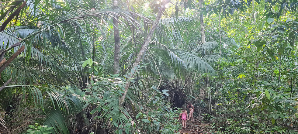 Spaziergang durch den Regenwald zum Strand