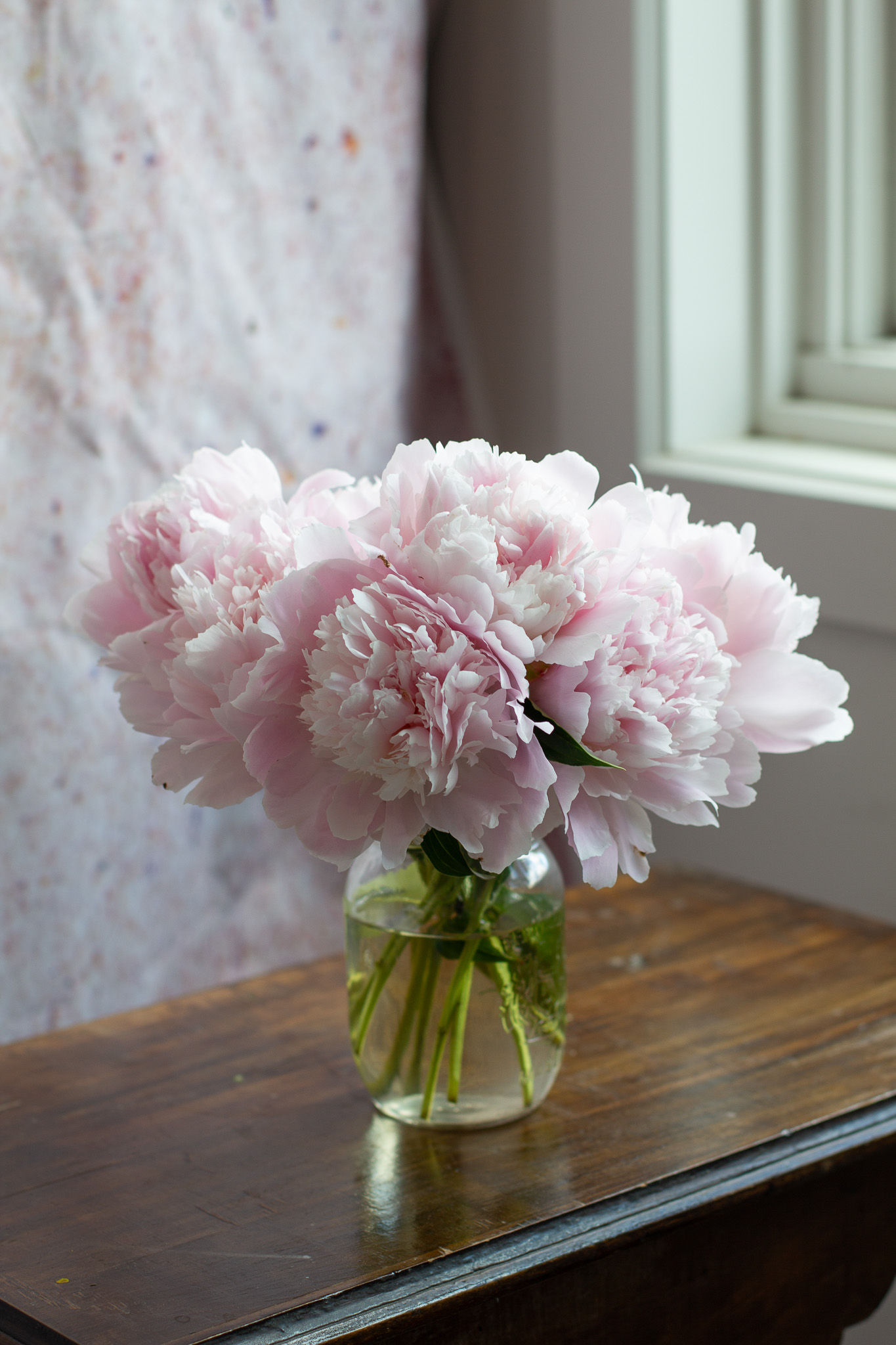 Peony 'Alertie' & 'Pecher'