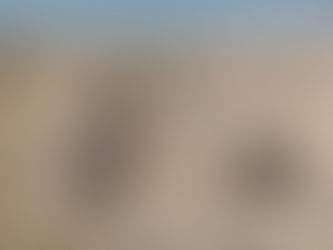 Al Zubarah Fort and coastal village during North Qatar day trip