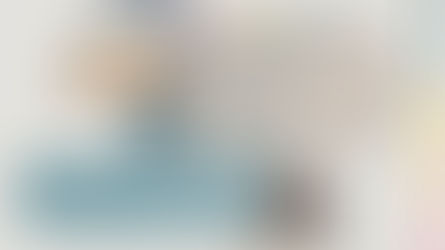 מעבר לפסג"ה - גב' דיצה אור