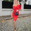 Thumbnail: ZERA - Red Open Shoulder Belted Midi Dress