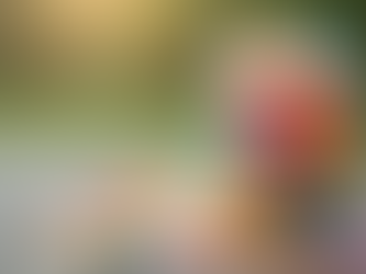 Finding Joy in the Beautiful Mess of Everyday Life