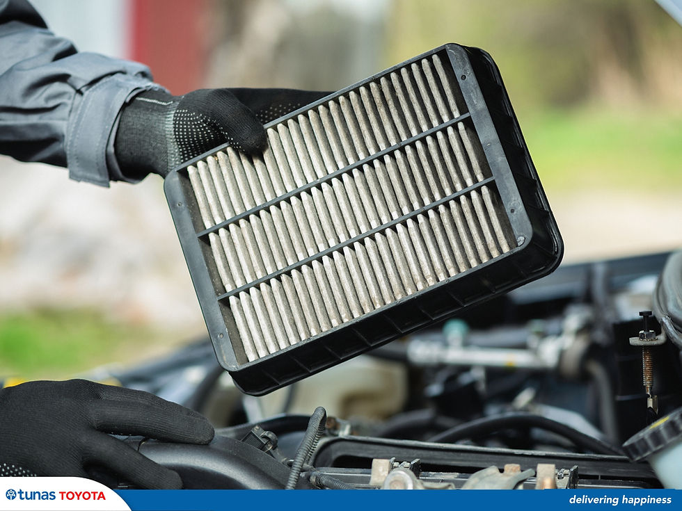 Dirty Car Air Filter