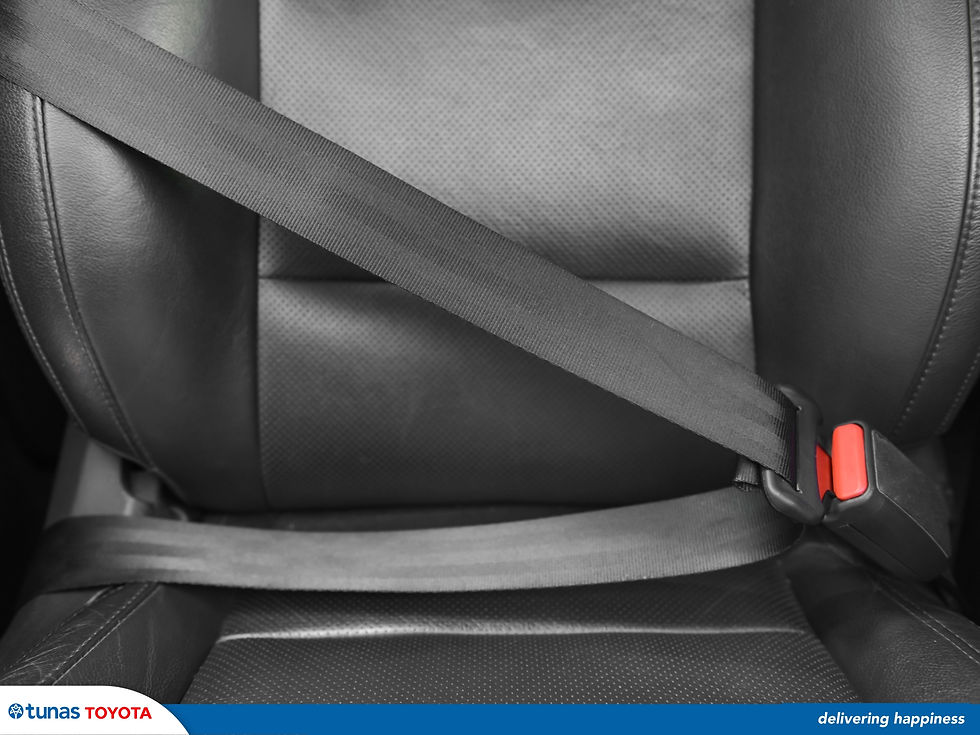A preview of 3 points car seatbelt.
