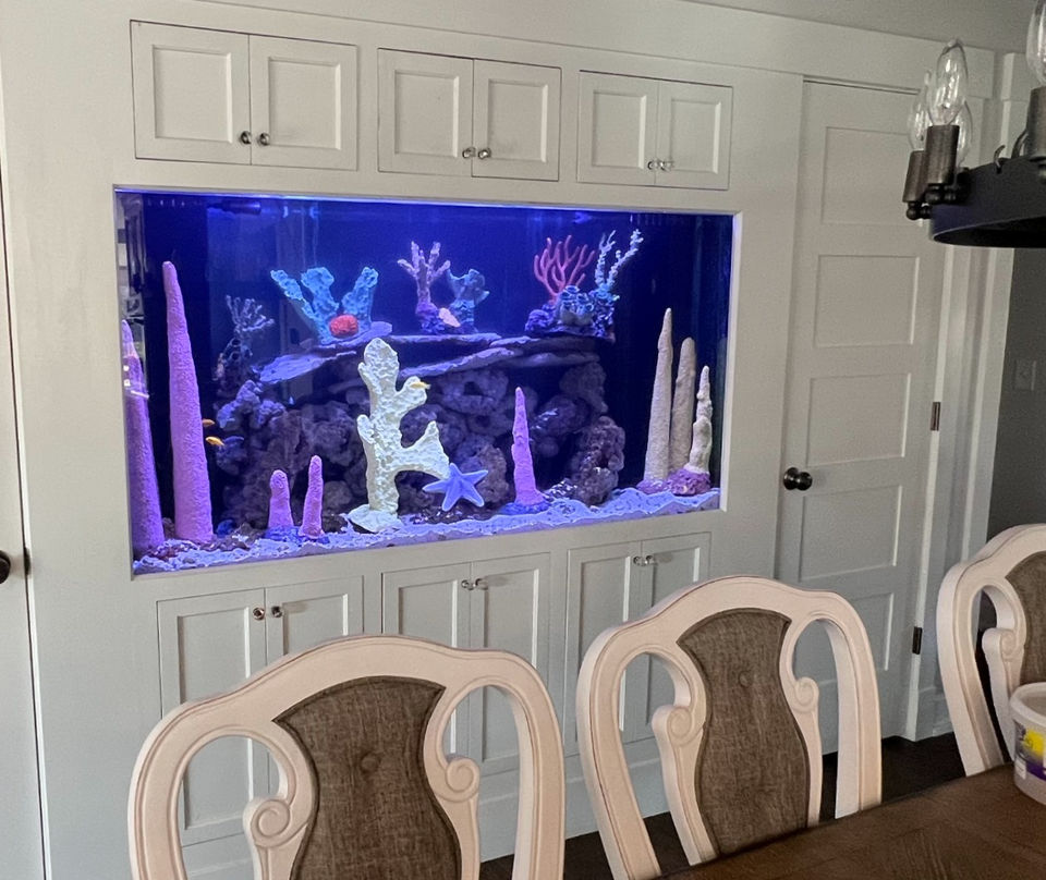 IMG_6748 2_edited.jpg