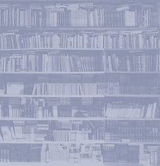 alfons-morales-YLSwjSy7stw-unsplash_edit