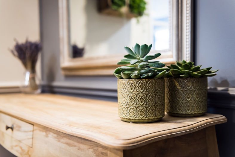 Espace massage auyrvédique - Plantes