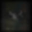 New Awakening 1 BackgroundV1.jpg