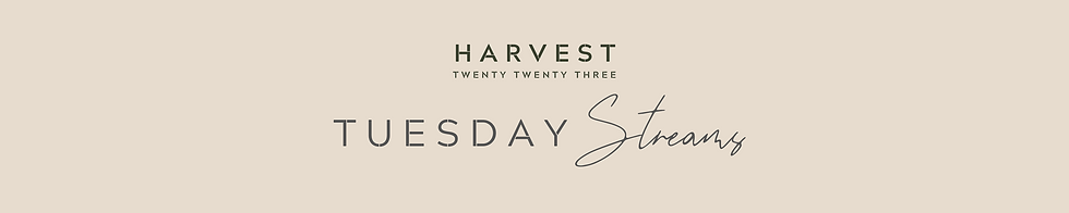 Vision6 State Conf Countdown (6).png