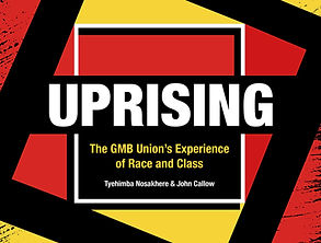 BAME Book cover idea v2.jpg