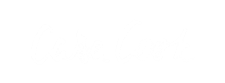 00. OPO logo cropped for container.png