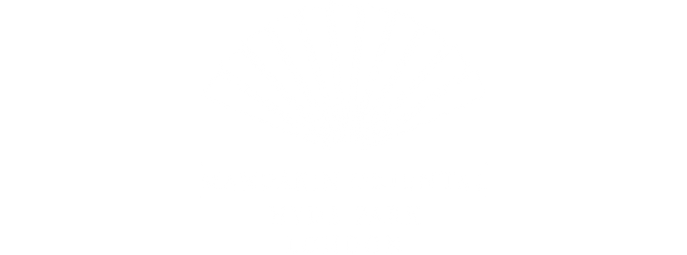 12. Welcome logo transparent - h 1.png
