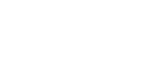 00b. Unnplug. Logo - OPO 1.png