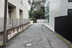 IMG_2262.jpg