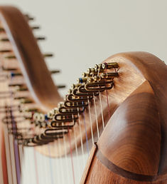 harp-close-up-details_edited.jpg