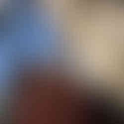 Monforte De Lemos Lugo Auxiliar de Conversación Katherine Pertuso program Auxiliares de Conversacion galicia spain white and orange cat tree blue sky