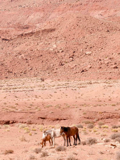 Photo Diary: Road Trip Arizona 