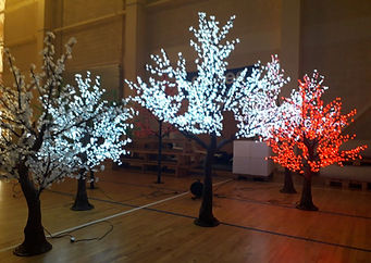 LED gaismas koki