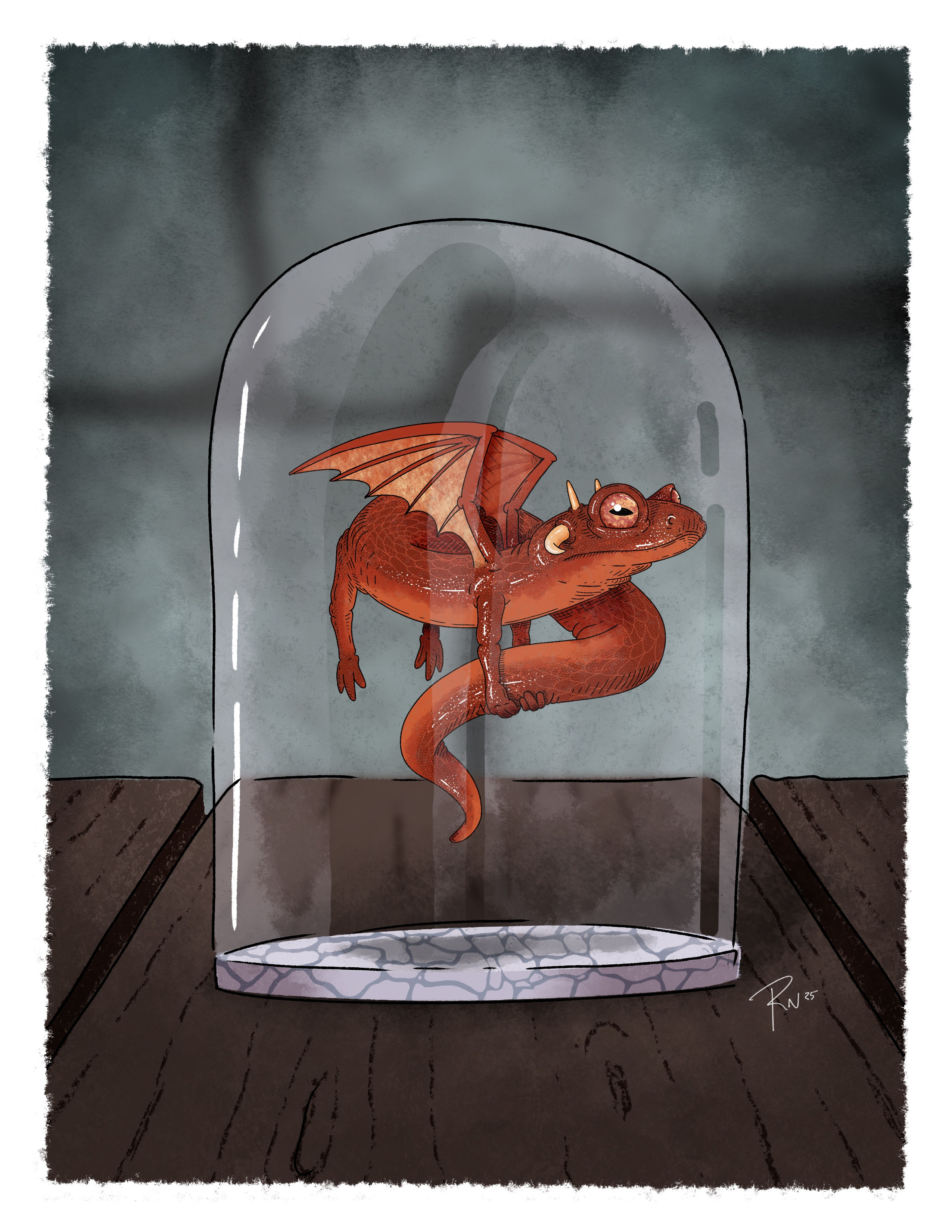 Dimi Dragon No.6 - PET