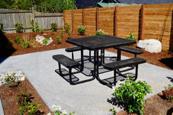 Outdoor Patio and BBQ