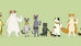 Pet Policy