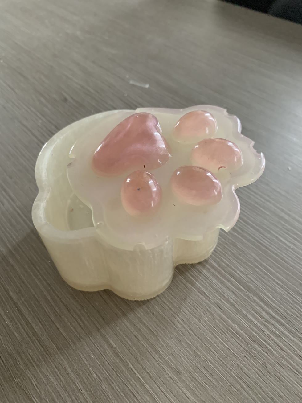 Miniature : Boîte en forme de patte en résine