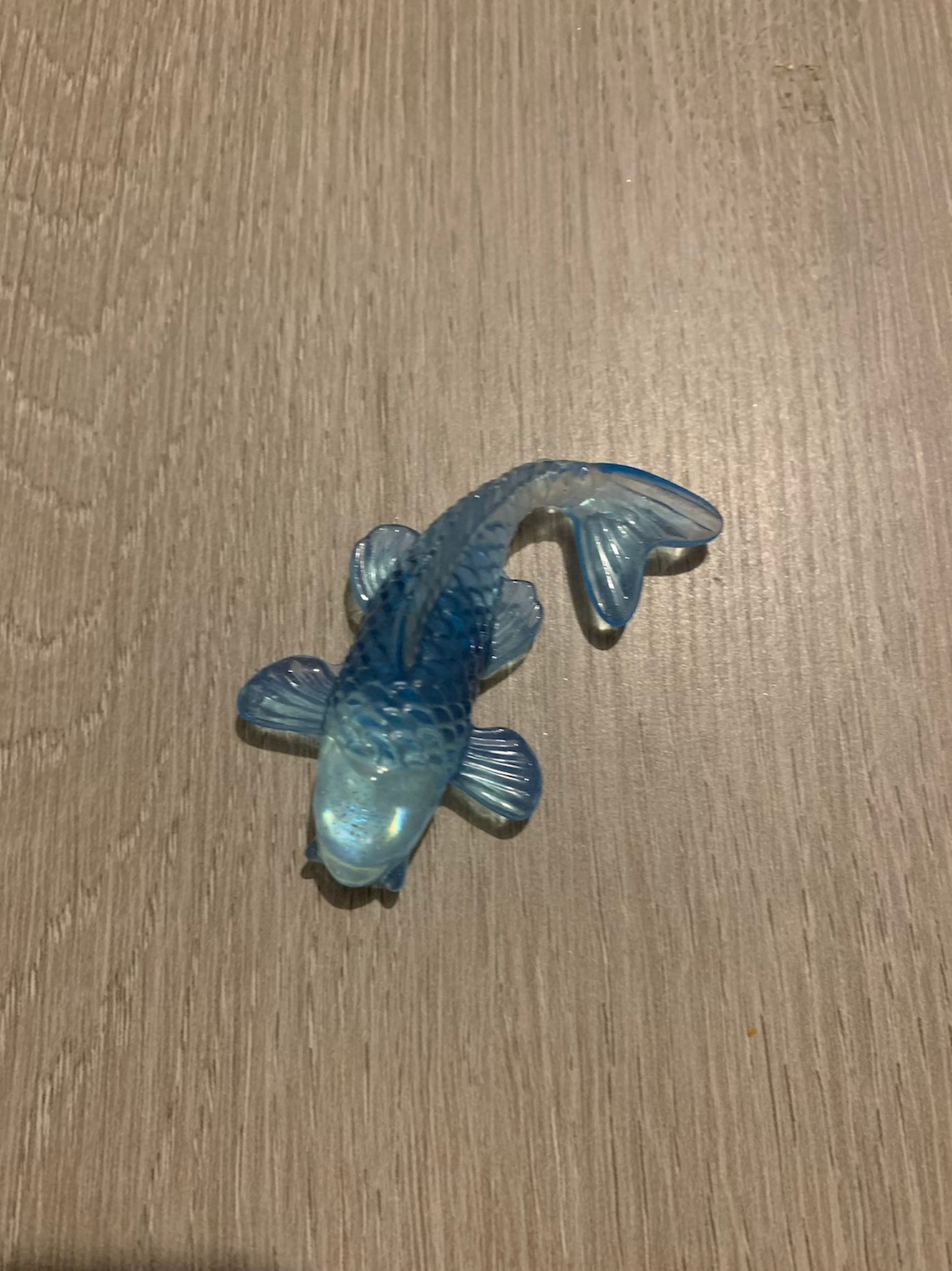 Poisson Carpe kon