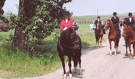 side saddle, sidesaddle, ride side saddle, ride aside, ride sidesaddle, how to ride side saddle, how to fit a side saddle, annual gathering, international side saddle organization, isso, charis cooper and peppi