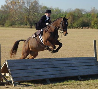 side saddle, sidesaddle, ride side saddle, ride aside, ride sidesaddle, how to ride side saddle, how to fit a side saddle, annual gathering, international side saddle organization, isso, Allison crews and a merry chase