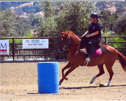 side saddle, sidesaddle, ride side s