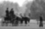 Driving techniques, Carriage driving horses, Driving equipment and gear, Driving training tips, Combined driving clubs