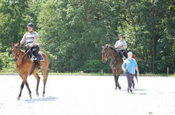 side saddle, sidesaddle, ride side s