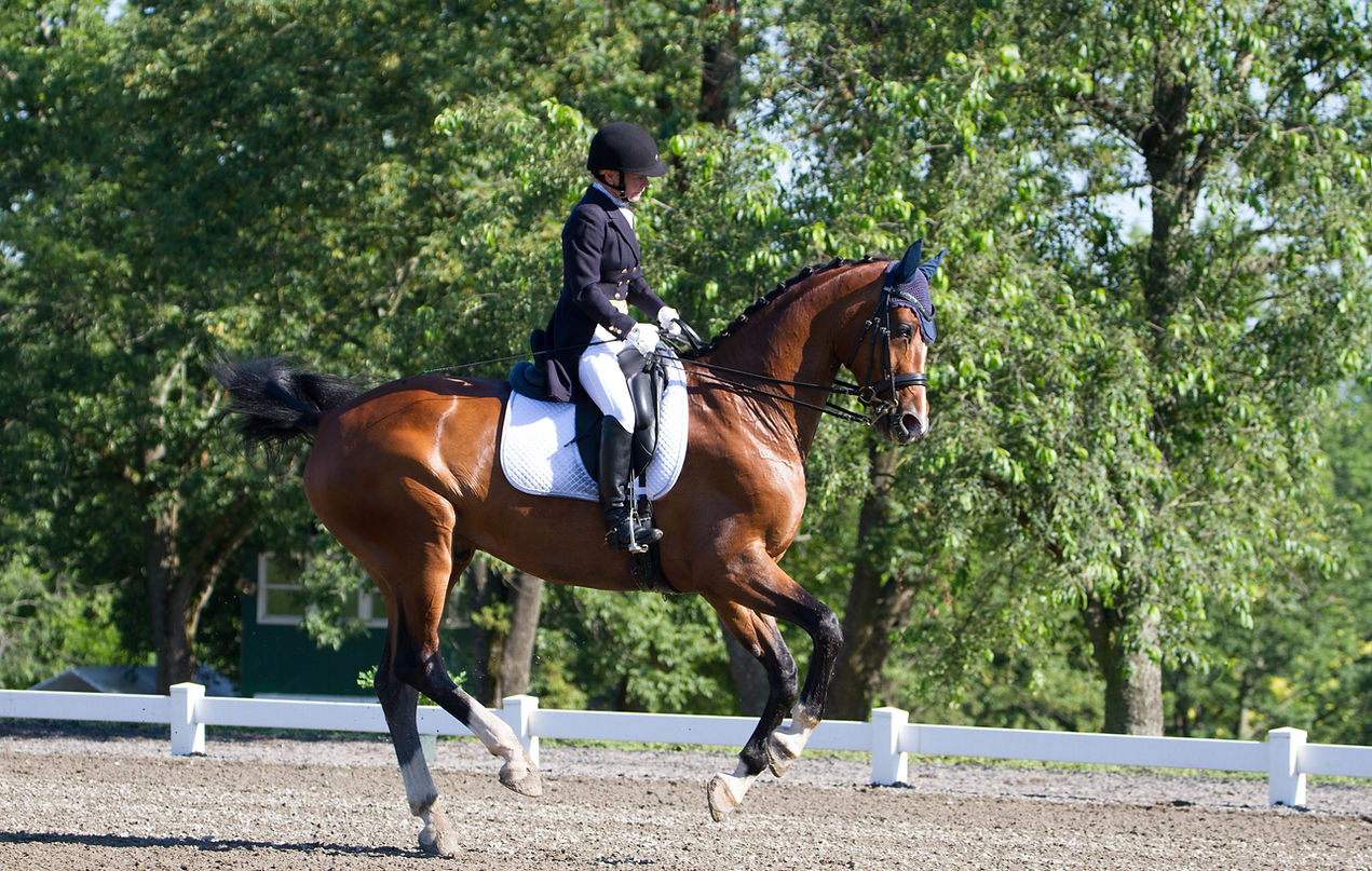 official photographer of princeton show jumping, official photographer of the ridge at riverview, official photographer of the bucks county horse park, official photographer of the amwell valley hounds, official photographer of the amwell valley horse trials, official photographer of side saddle at the uset, official photographer of camp leaping horn, official photographer of the bedford cup, official photographer of briarwood derby day, official photographer of the international side saddle organization, official photographer of the isso, 