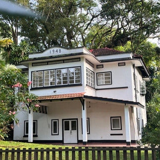 Black and White House in Alexandra Park
