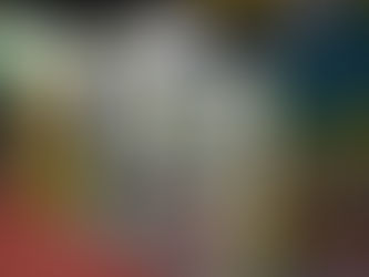 O impacto do isolamento térmico no desenvolvimento das aves e na economia do processo produtivo