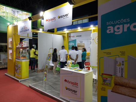 O impacto do isolamento térmico no desenvolvimento das aves e na economia do processo produtivo