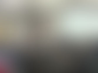 AVICULTURA FOI TEMA DE PALESTRA NA FINECOM