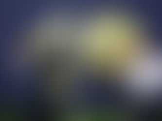 Globoaves na SIAVS com foco em estratégia, relacionamento e rumo aos 40 anos