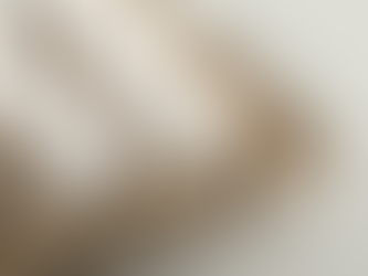 Exportações de ovos crescem 99,9% em novembro