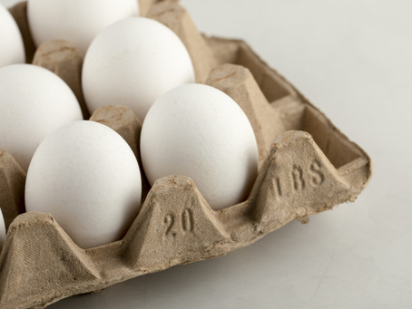 Exportações de ovos crescem 99,9% em novembro