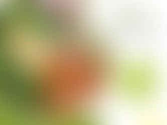 16 de Outubro - Dia Mundial da Alimentação