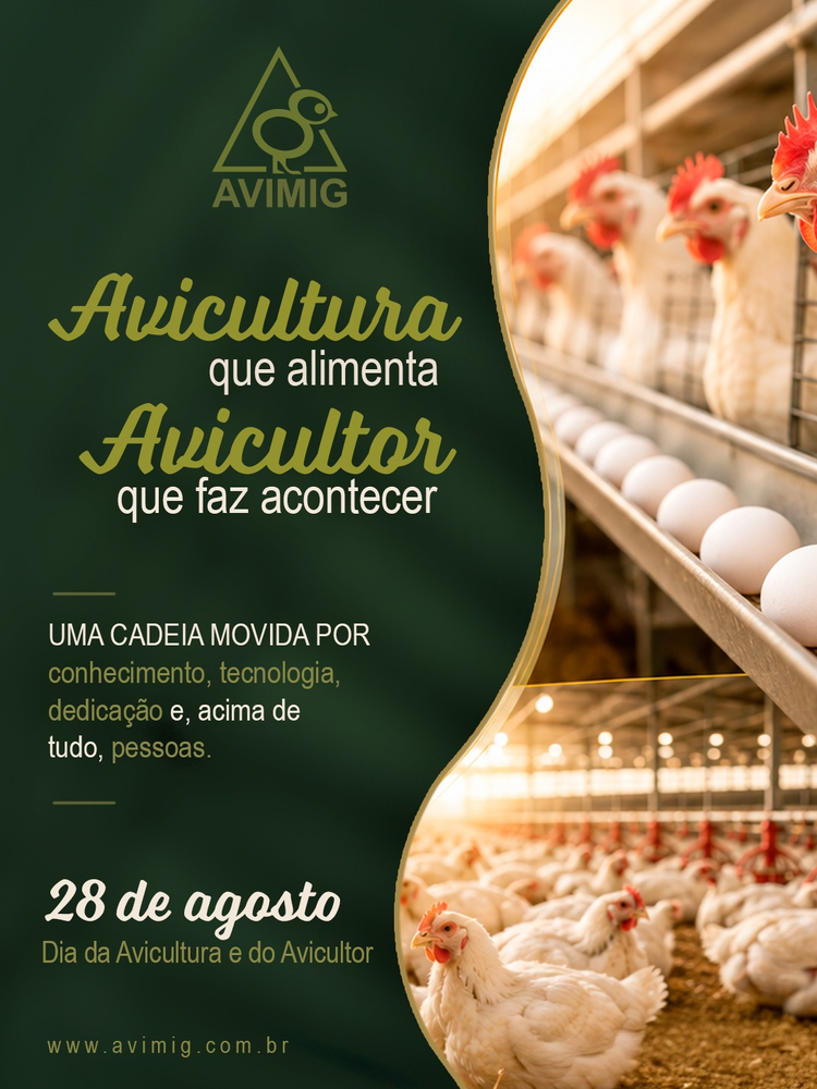 28 de agosto - Dia do Avicultor e da Avicultura