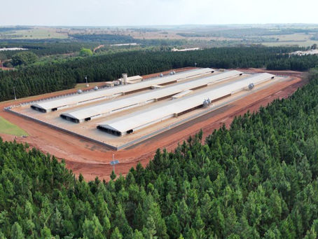 Cobb-Vantress anuncia novo incubatório e ampliação de granja com investimentos de mais de R$ 70 mi