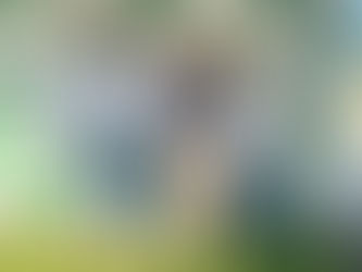 Feira de Agronegócios tem presença da Avimig em Santo Antônio do Monte