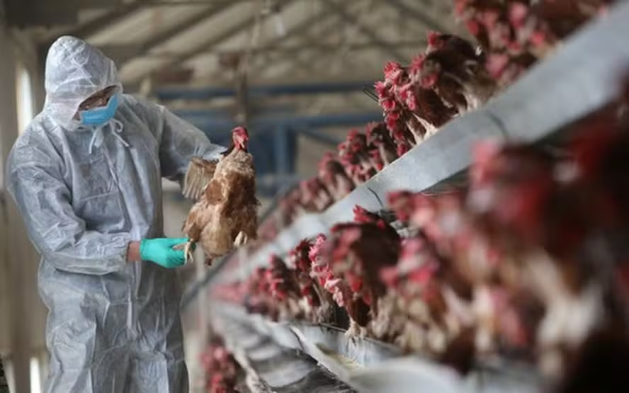 Lista de isenções ao tarifaço é ‘limitada’ para alimentos