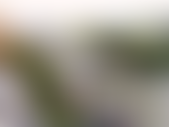 Economia circular: Rivelli transforma dejetos de frangos em insumos para a agricultura