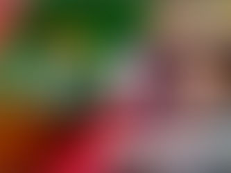 Vetanco apoia projeto social Cores do Agro e promove o acesso à cultura para crianças do campo